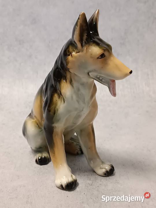 Wilczur Owczarek Niemiecki Porcelanowa Dobrzany