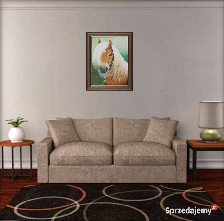 Obraz olejny Białogrzywy koń Dekoracje i ozdoby lubelskie Lublin
