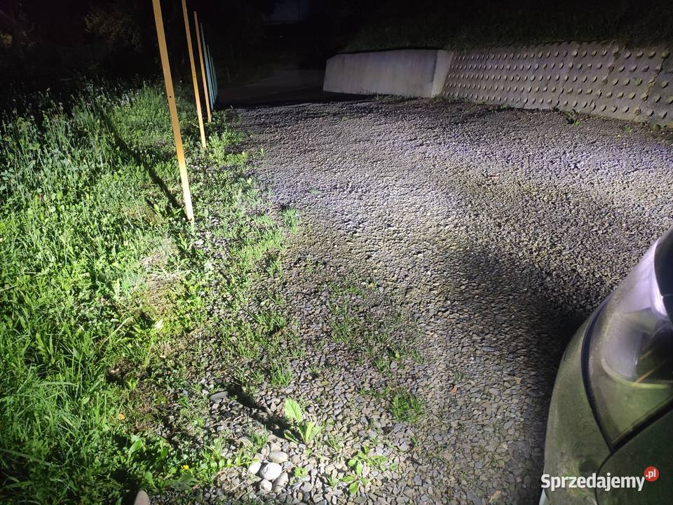 ŻAROWKI XENON D3S D1S LED ŻARÓWKA KSENON CANBUS Żarówki samochodowe Nowy Sącz