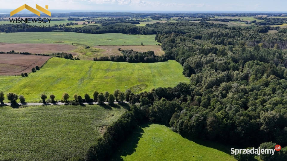 Wyjątkowy teren o powierzchni 71 696m2 asfalt Pomorska Wieś
