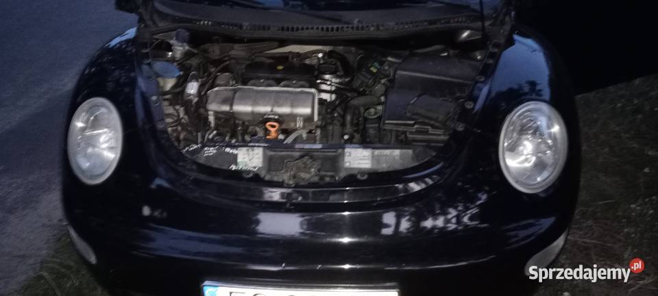 Volkswagen Beetle 20 benzgaz klima skóry 332000km kujawsko-pomorskie Włocławek