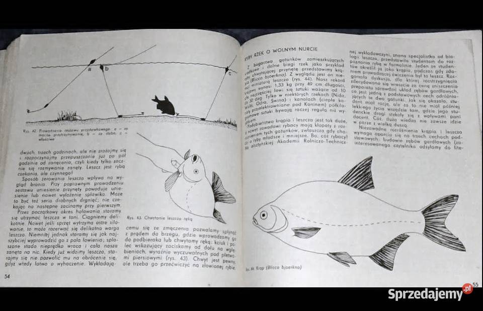 wodę na ryby Alfred Samet Stanisław Stupkiewicz Pozostałe Książki i Podręczniki Chełm