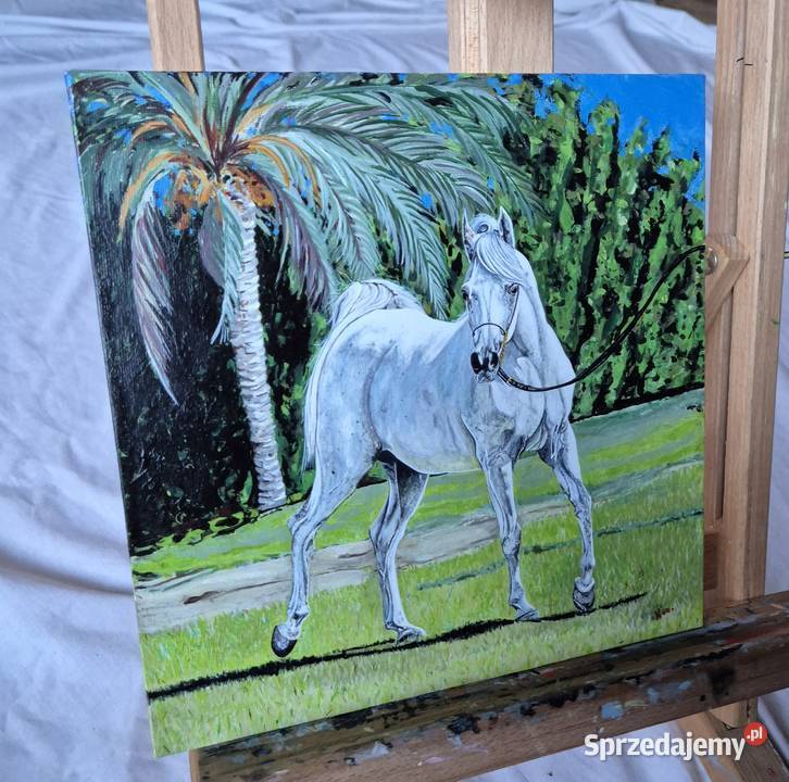 Obraz koń arabski araby konie stajnia klacz małopolskie Brzesko