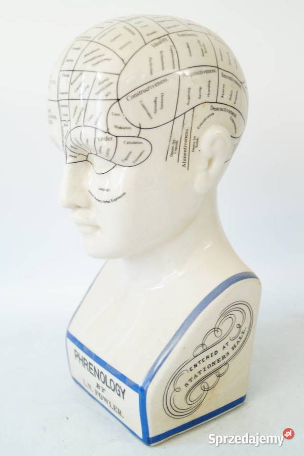 Duża głowa medyczna porcelanowa PHERNOLOGY Gizałki