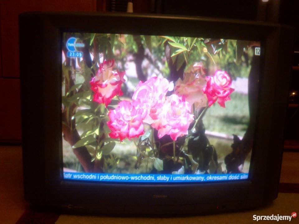 TOSHIBA 2929DS DUŻY TELEWIZOR W Kompozyt