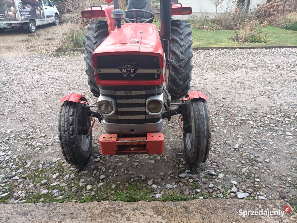 Massey Ferguson Mf135 Kurów