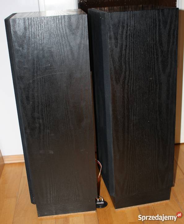Kolumny Custom DIY duże TonsilUnitra Kraków sprzedam