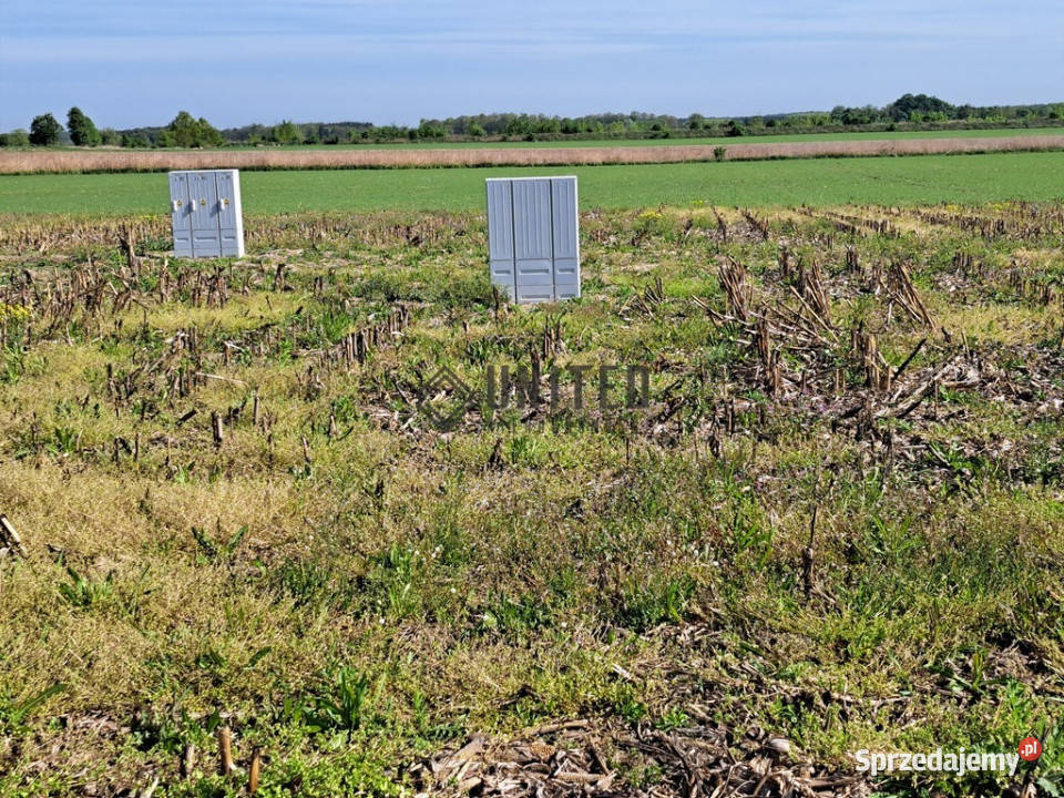 Działki w Jagoszycach niedaleko Prusic