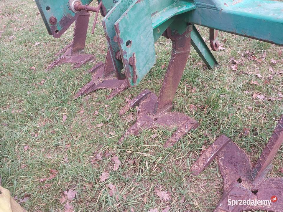 Głębosz Piotrków Trybunalski