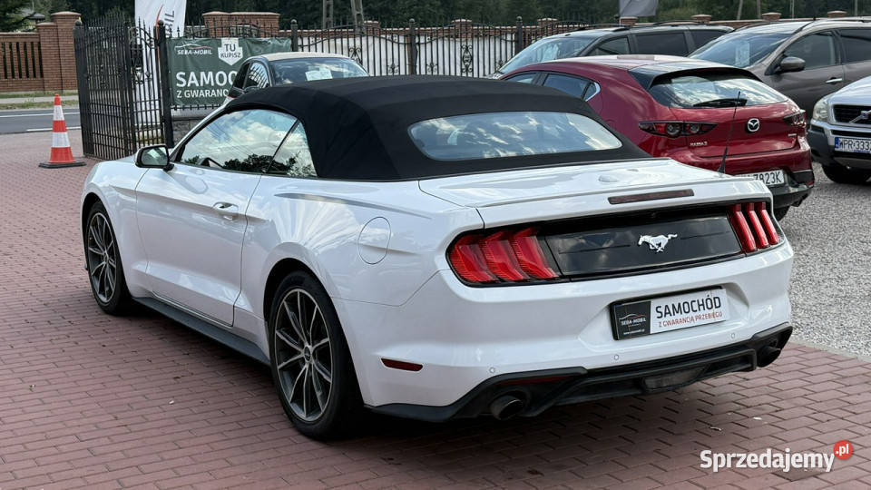 Ford Mustang Cabrio Wypas Automat VI 2014 Mustang Sade Budy