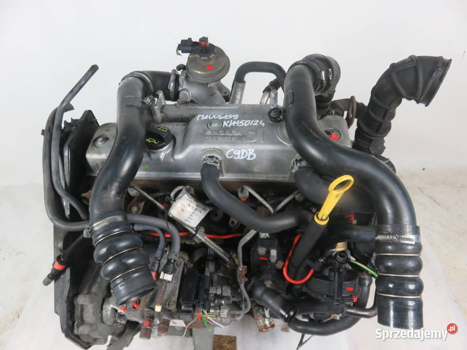 SILNIK FORD FOCUS MK1 18 TDDI C9DB KOMPL