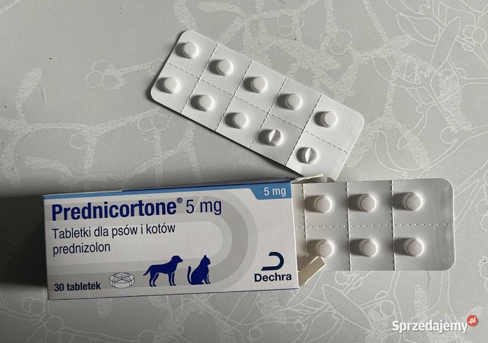 Prednicortone 5 ml psa i kota Pozostałe Poznań
