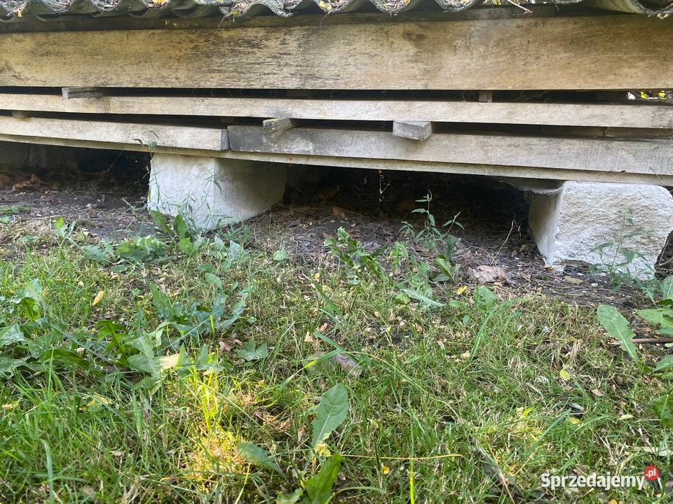 Belki legary Drewno konstrukcyjne kujawsko-pomorskie