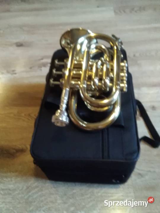 Trąbka kieszonkowa Kraków