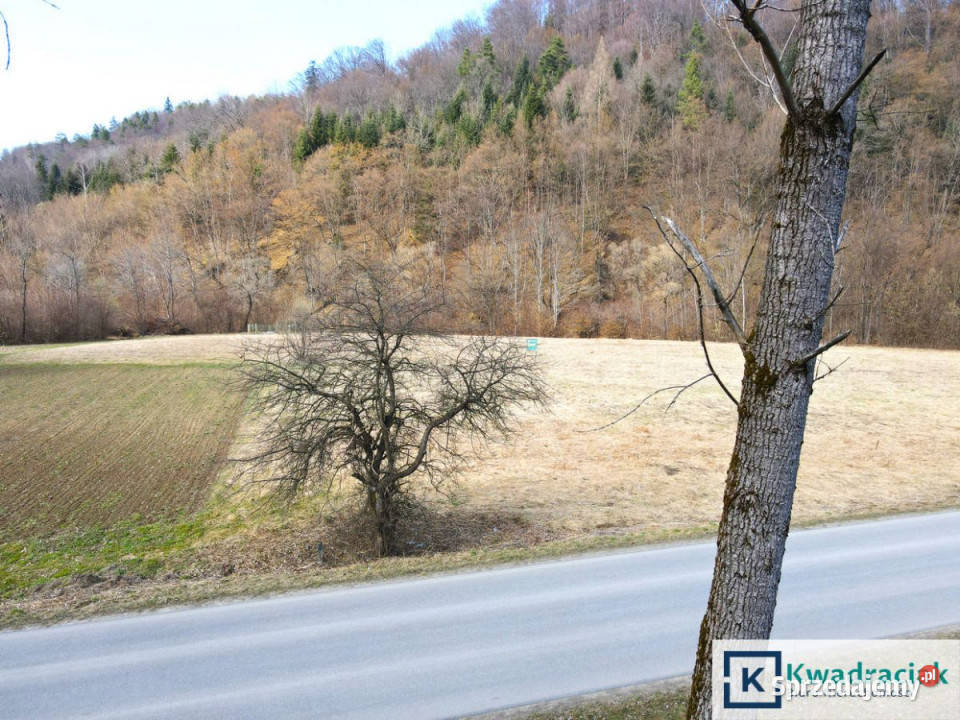 Działka 3992 metry Wołkowyja