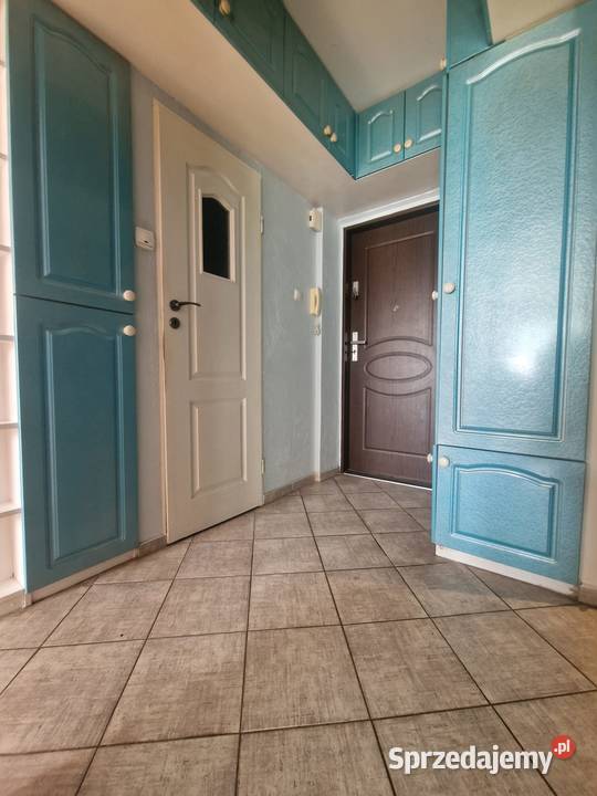 mieszkanie 2 pokojowe Winogrady os Kosmonautów Poznań