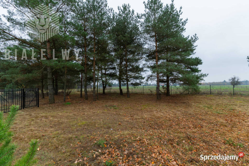 Grunt 934m2 Jachranka szambo