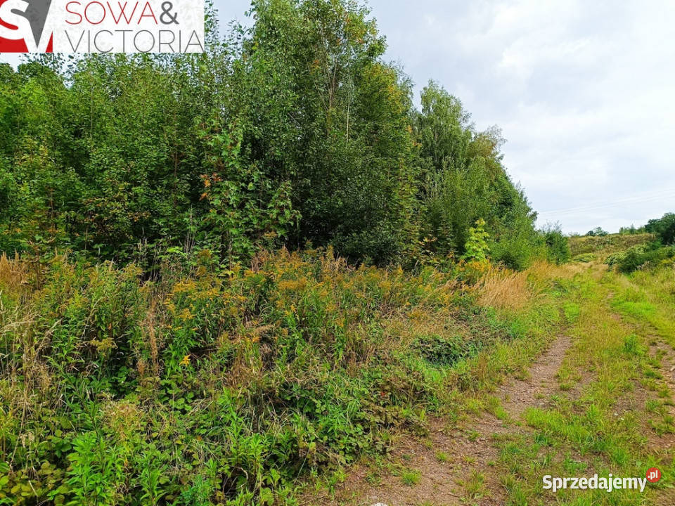 Działki w pobliżu Szczawna Zdroju Sprzedaż Struga sprzedam