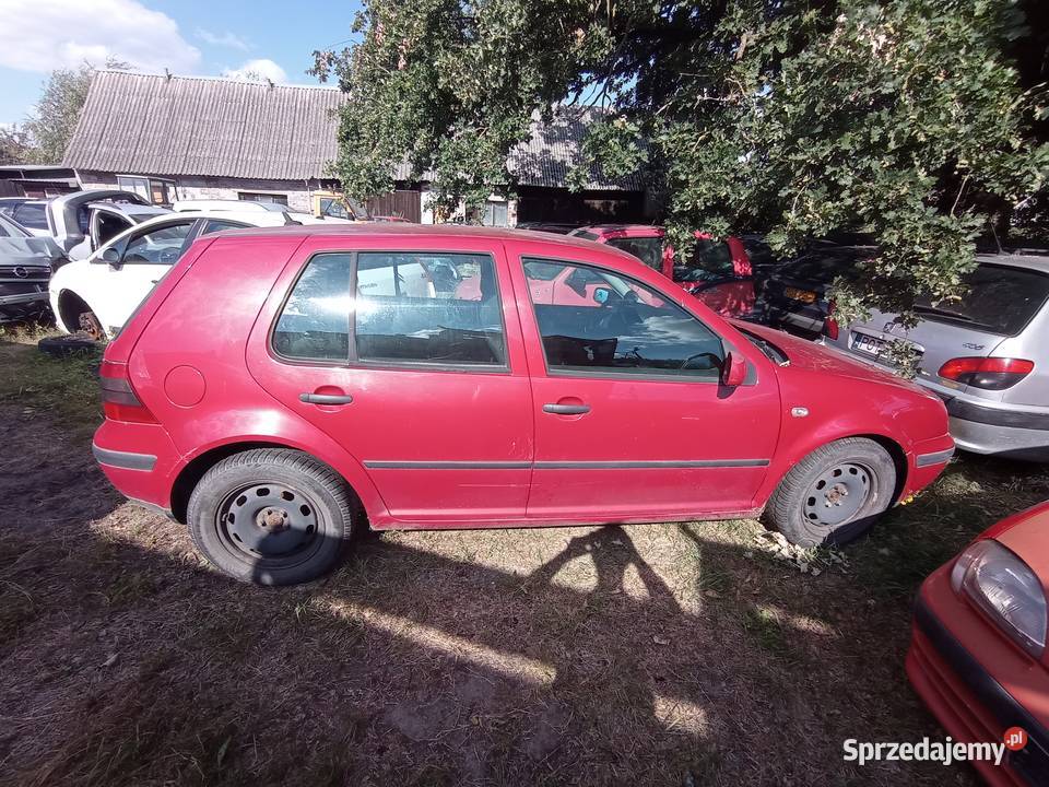 Volkswagen Golf IV 16 77 kW 2002 r dawca części Rok produkcji 2002 Szklarka Myślniewska