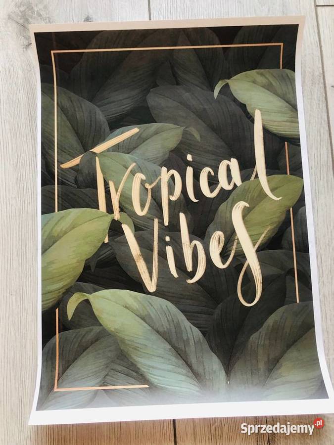 Plakat Obraz liście zielony tropikalny natura 42 Dekoracje i ozdoby Dekoracje i ozdoby Łódź