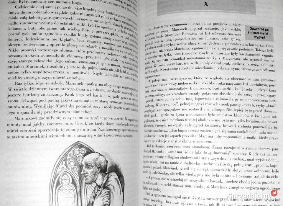 Syzyfowe prace Z opracowaniem Stefan Żeromski Pozostałe Książki i Podręczniki