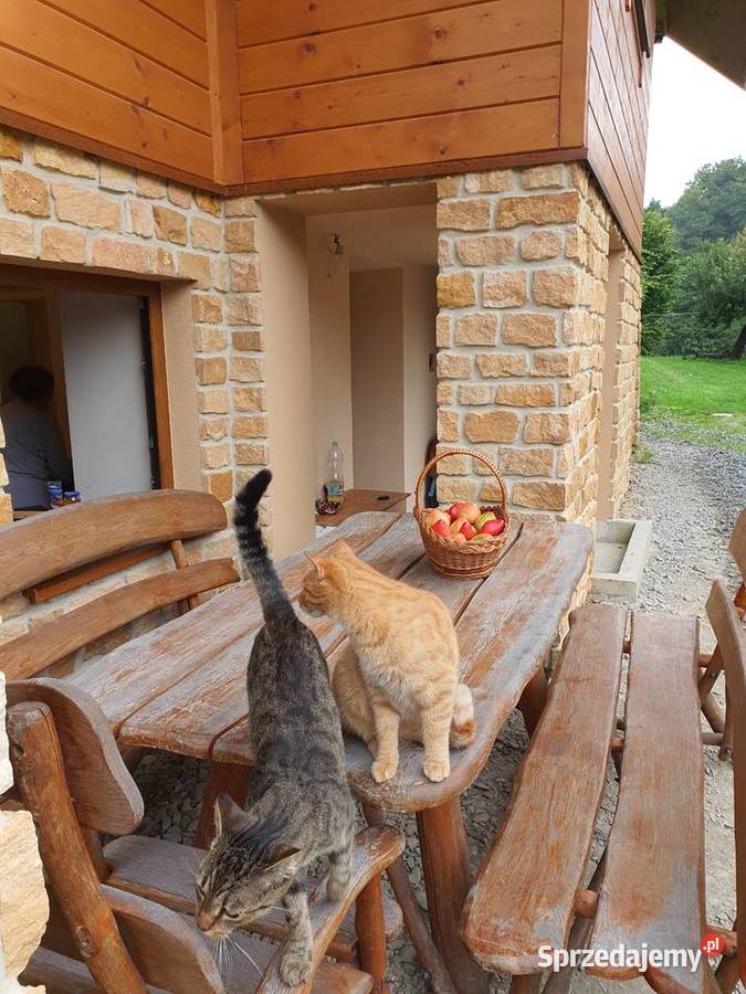 Producent płytki elewacyjne stara cegła elewacje Wielgomłyny sprzedam