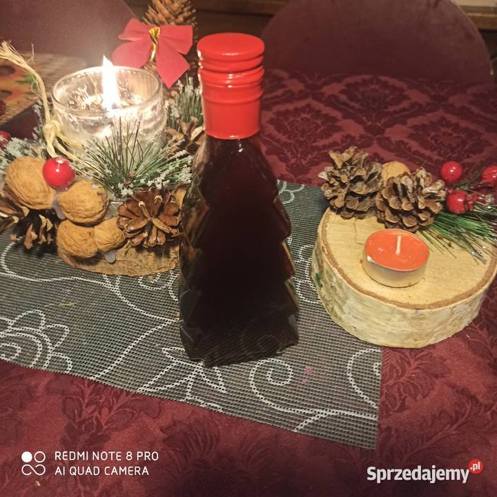 Lawenda lekarska wąskolistna Sadzonki kwiaty Rośliny mazowieckie