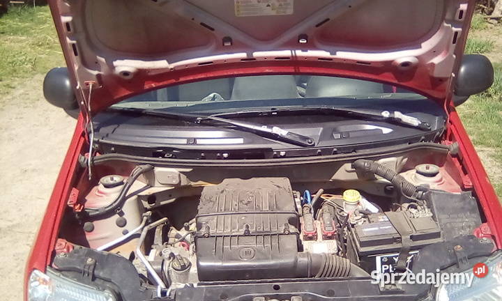 Fiat Panda mazowieckie Różan