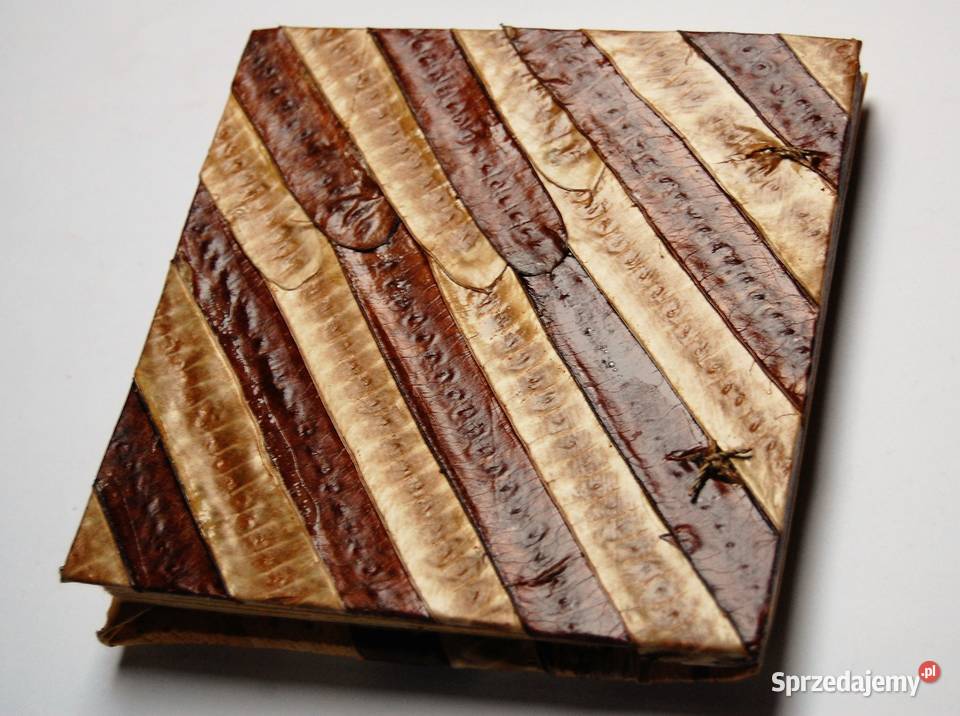 Album 20 foto naturalny botaniczny drewno Lublin