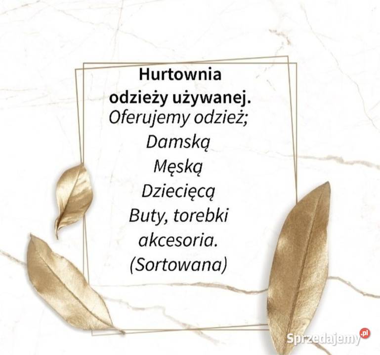 Odzież Sortowana Zagranica 6 Prosto na wieszak kujawsko-pomorskie Toruń