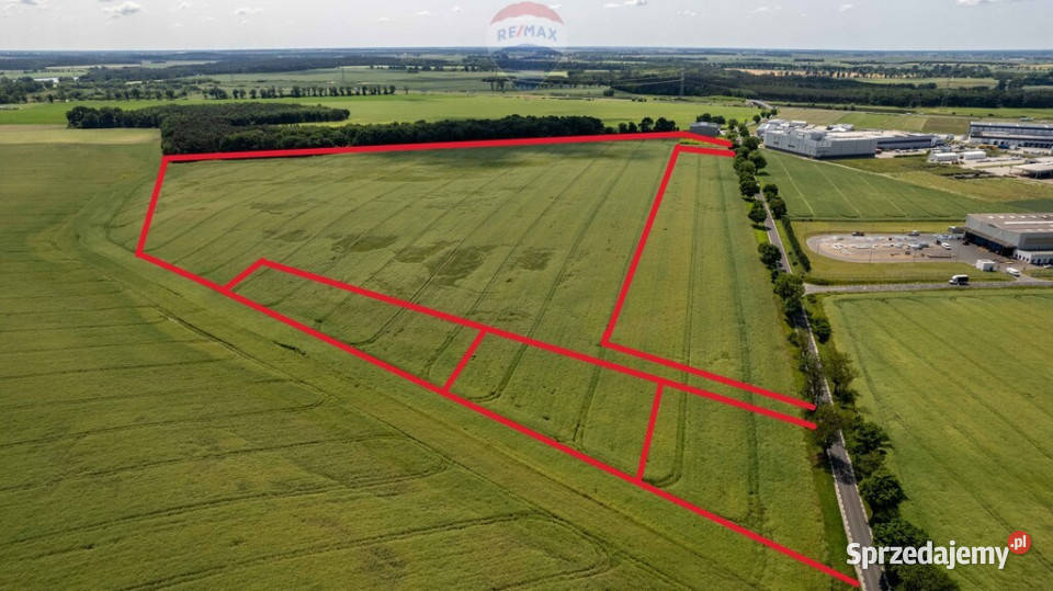 17 ha MPZP PU 15 do A2 Niepruszewo 487m wielkopolskie sprzedam