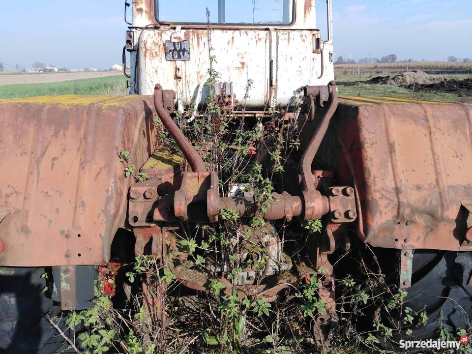 T150 K Kosówka Sprzedajemy.pl