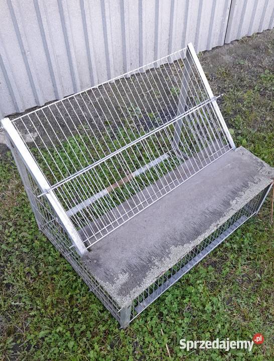 Wylot gołębi gołębnika belgijski Lubanie