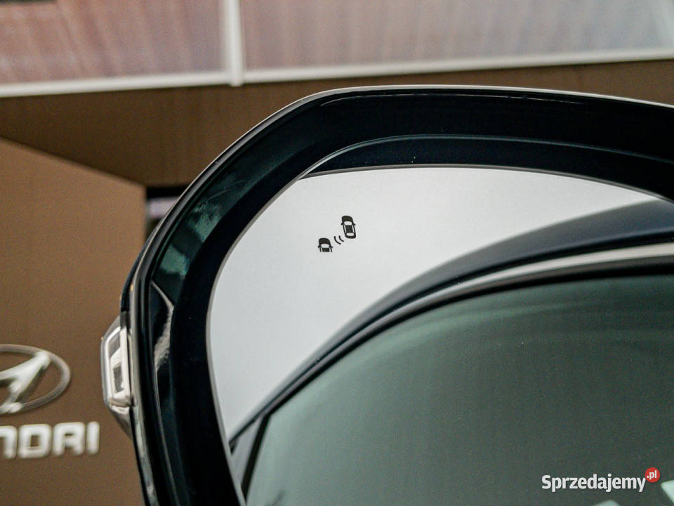 Hyundai Santa Fe 20CRDi 185 Platinum Pakiet SUN czujnik zmierzchu łódzkie Piotrków Trybunalski sprzedam