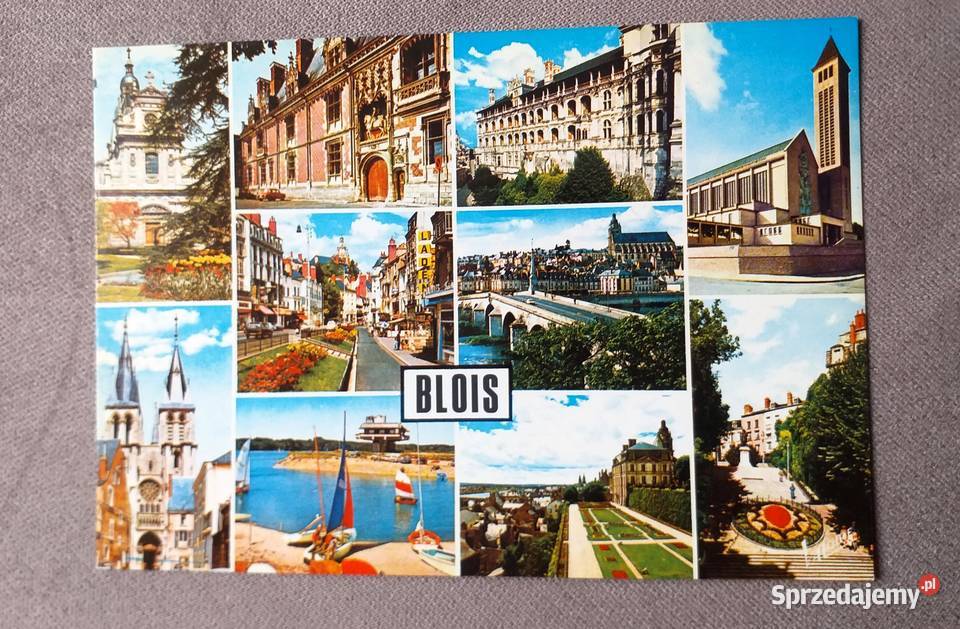 BLOIS MIASTO KRÓLEWSKIE LOARĄ M IN WIDOK NA