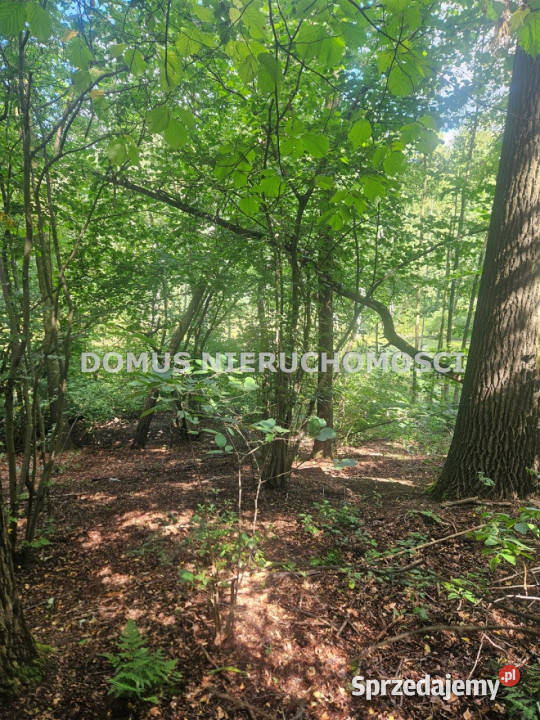 Sprzedaż gruntu Nagawki 1915m2 Sprzedaż łódzkie