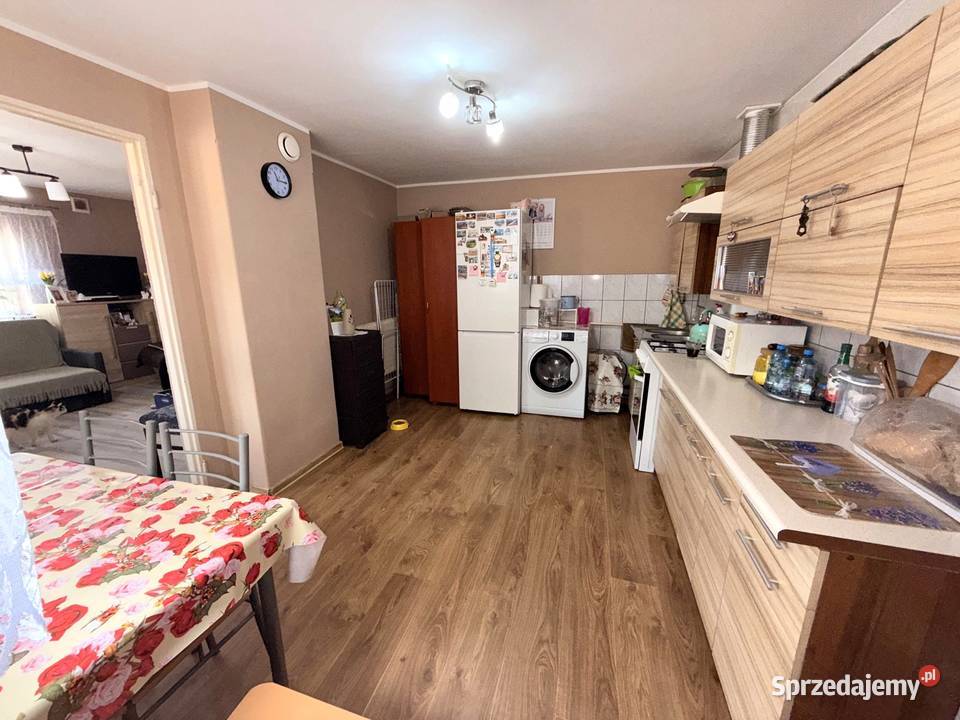 Sprzedam gospodarstwo rolne z domem o pow 31046 Sprzedaż Nowe Budki