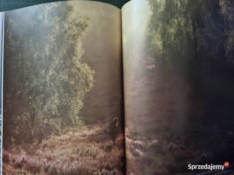 Bory Tucholskie rezerwat biosfery t II Człowiek małopolskie Kraków