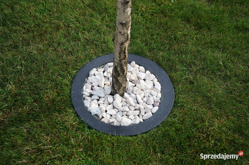 Obrzeże trawnikowe do drzew śr 50 Dębica