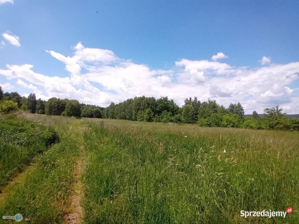 Działka Zagnańsk 820m2