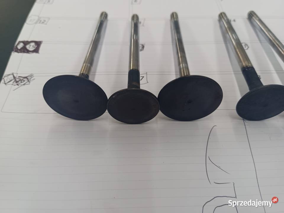 Zawory silnika peugeot j5 1989r 25D Słupsk