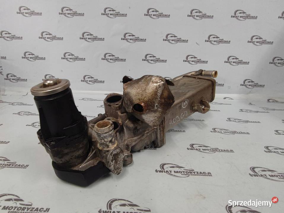 A3 LEON FABIA RAPID 16 TDI CAYN 154 chłodniczka Kielce