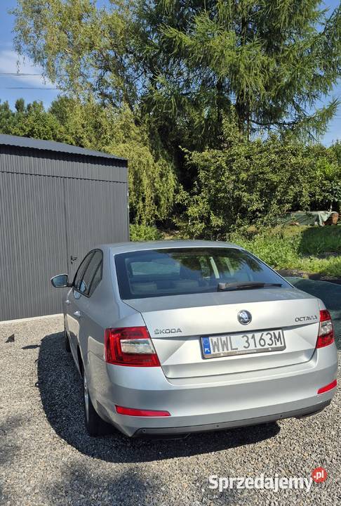 Skoda Octavia Wilkowice