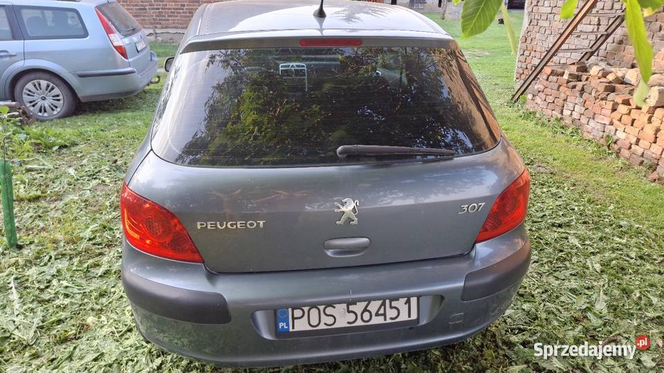 Peugeot 307 14 2005 Gorazdowo