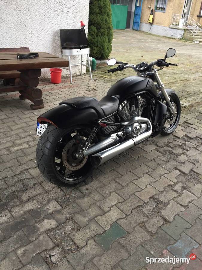 Harley Davidson v rod Muscle Kłobuck sprzedam