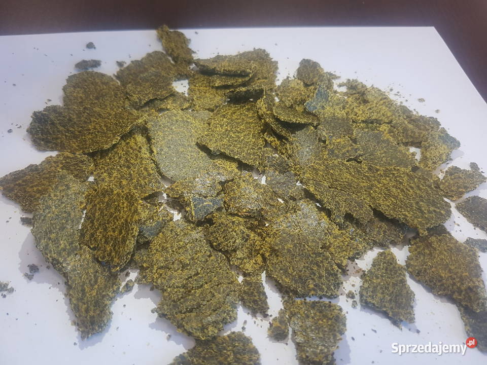 Makuch rzepakowy Gliwice