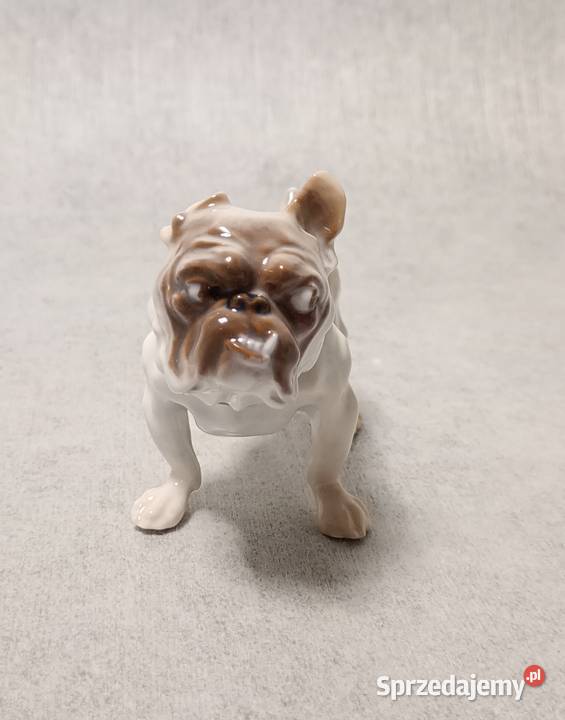 BG Bing Grondahl 1676 Bulldog Dahl Jensen Gdańsk