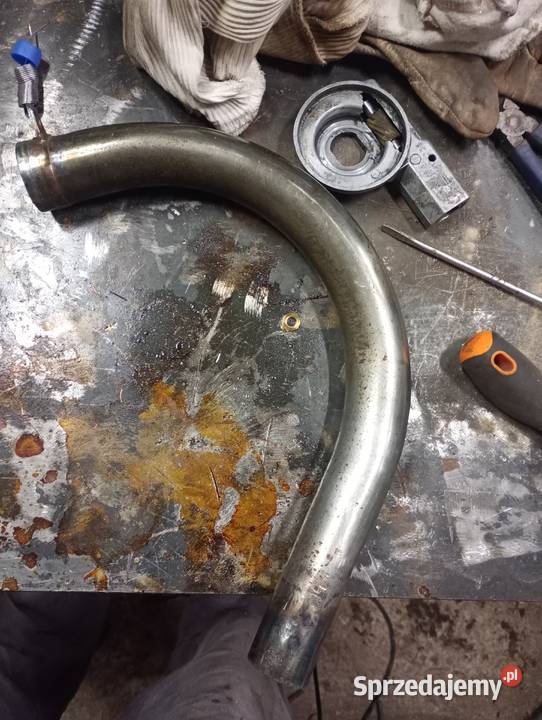 Kolanko tumika shl gazela łódzkie