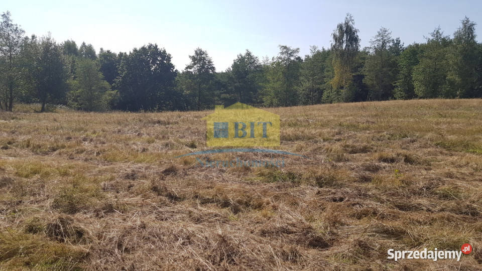 Działka 212 ha jeziorze Drawskim Sprzedaż Nieruchomości zachodniopomorskie Kluczewo