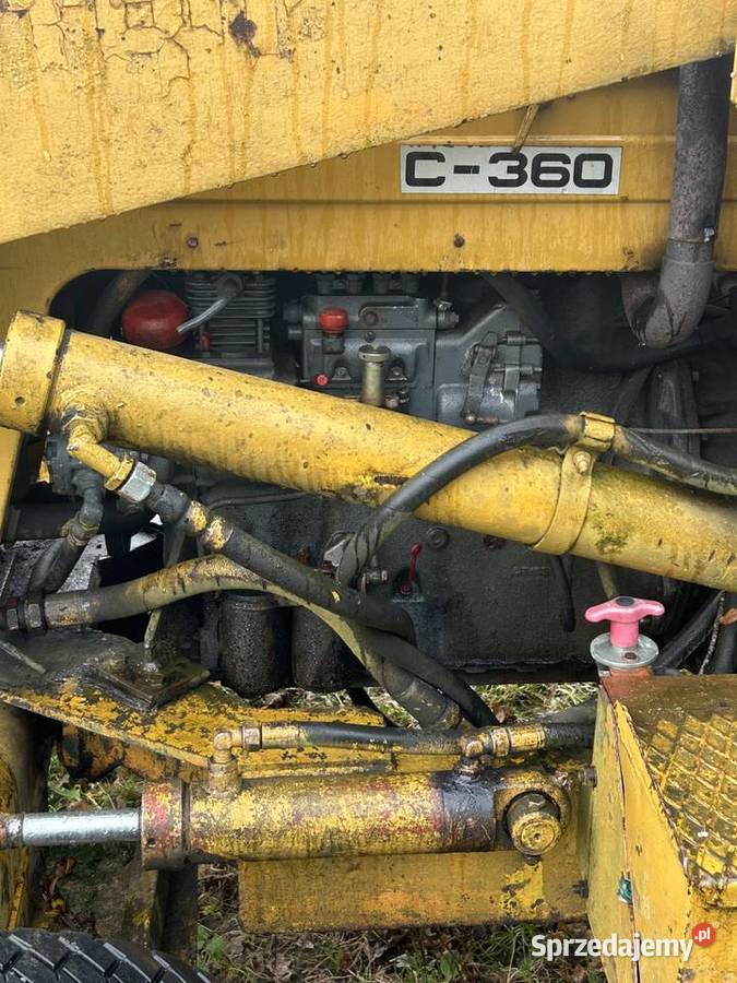 Ostrówek podkarpackie Rakowa